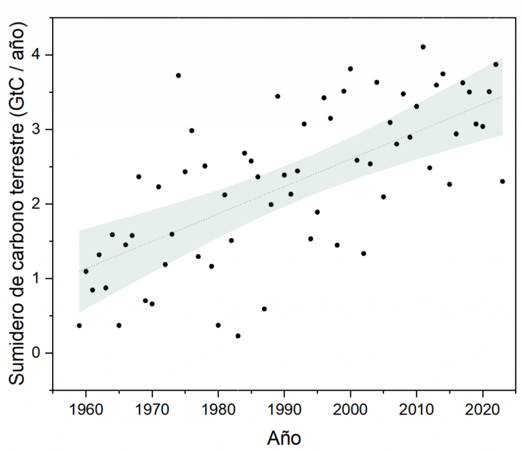 Evolución del sumidero de carbono terrestre desde mediados del siglo XX